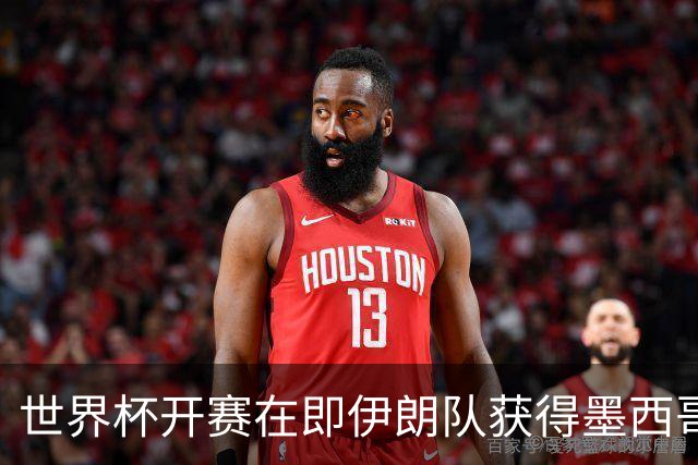 世界杯开赛在即伊朗队获得墨西哥签证 计划启程前往驻地